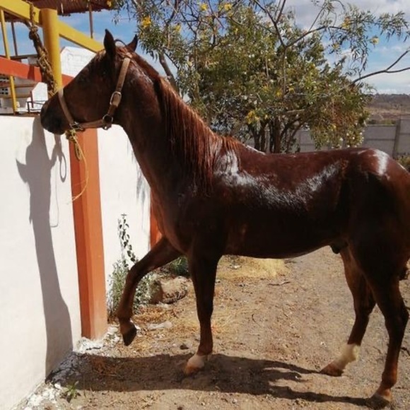 Meet your Posher, Marco - Picture 1 of 1